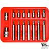 TORX PLUS SPLINE 5 POINT SET 3/8DR16 PC