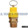 PRESSURE RELEASE VALVE 1/4 THREAD 10 BAR